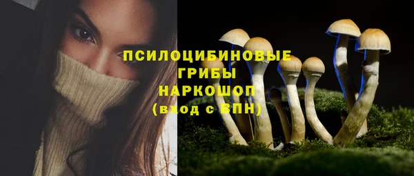 герыч Богородицк