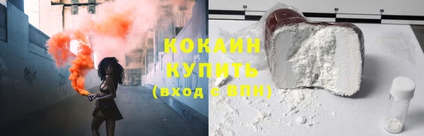 шишки Богданович