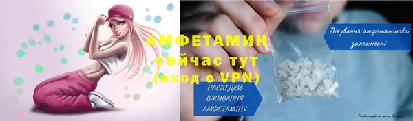 дмт Богородск