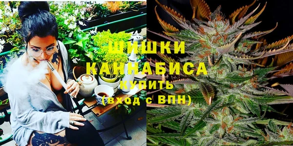 шишки Богданович
