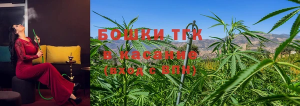 шишки Богданович